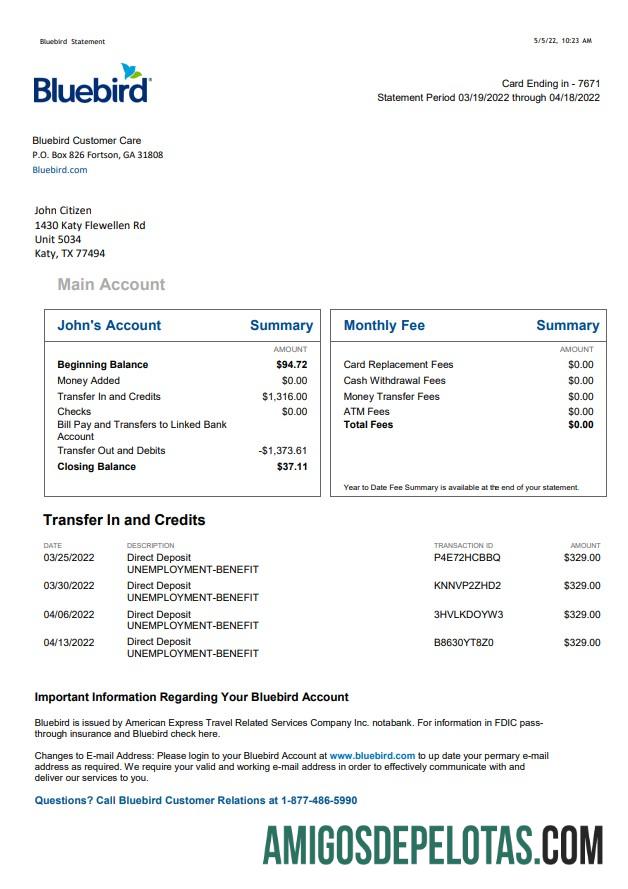 Exemplo de extrato bancário Bluebird dos EUA